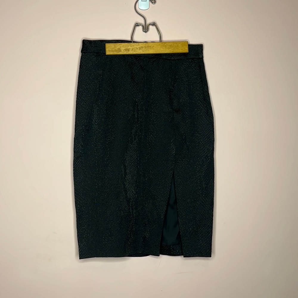 Altuzarra Black Skirt